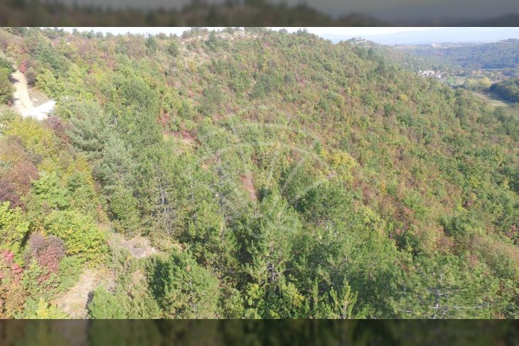 Poljoprivredno zemljište, Prodaja, Cerovlje, Draguć Poljoprivredno zemljište, Prodaja, Cerovlje, Draguć