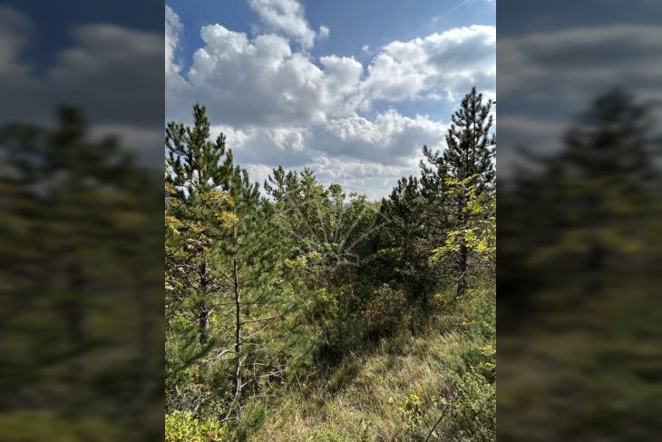 Poljoprivredno zemljište, Prodaja, Cerovlje, Cerovlje Poljoprivredno zemljište, Prodaja, Cerovlje, Cerovlje