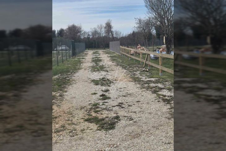 Poljoprivredno zemljište, Prodaja, Ližnjan, Šišan