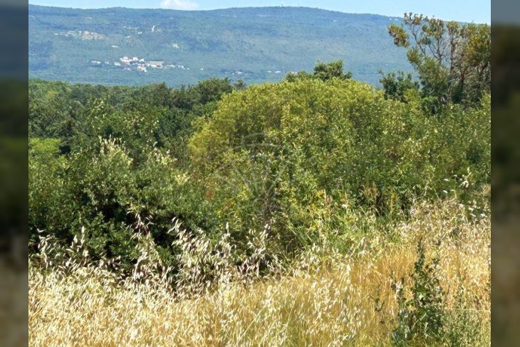 Poljoprivredno zemljište, Prodaja, Marčana, Rakalj