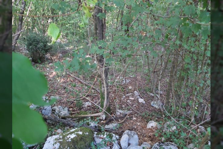 Građevinsko mješovito, Prodaja, Matulji, Rukavac Građevinsko mješovito, Prodaja, Matulji, Rukavac