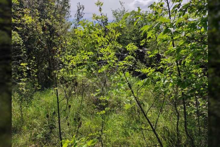 Oranica, Prodaja, Marčana, Rakalj Oranica, Prodaja, Marčana, Rakalj