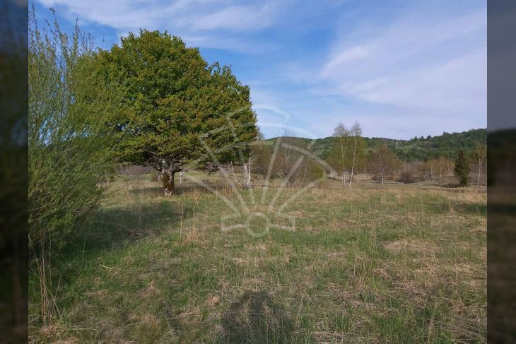 Građevinsko mješovito, Prodaja, Delnice, Zalesina Građevinsko mješovito, Prodaja, Delnice, Zalesina