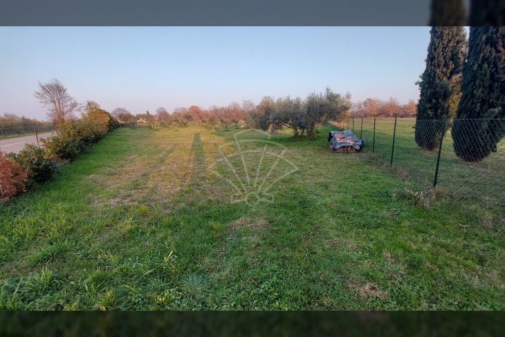 Poljoprivredno zemljište, Prodaja, Poreč, Stranići kod Nove Vasi