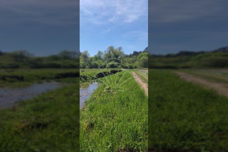 Poljoprivredno zemljište, Prodaja, Matulji, Pasjak