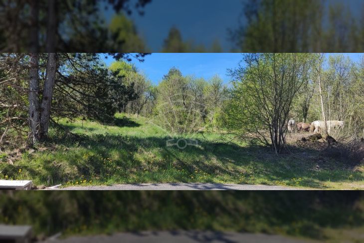 Poljoprivredno zemljište, Prodaja, Matulji, Pasjak