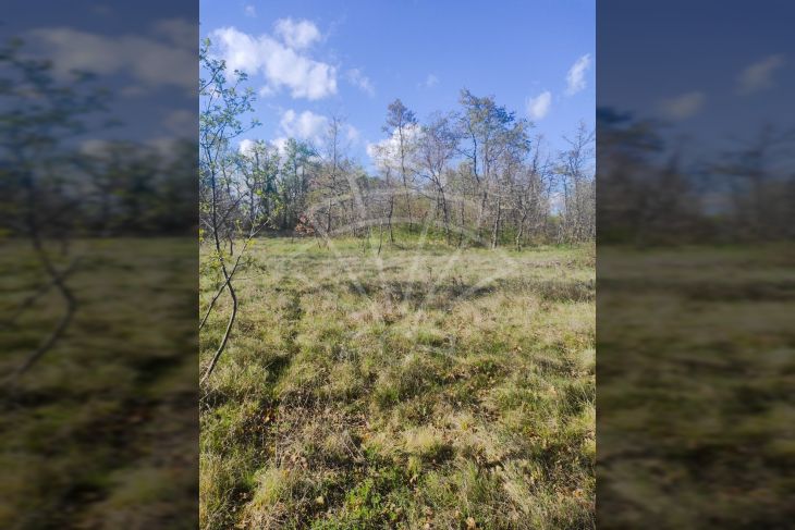 Građevinsko mješovito, Prodaja, Svetvinčenat, Boškari Građevinsko mješovito, Prodaja, Svetvinčenat, Boškari