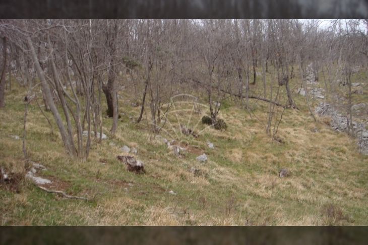 Poljoprivredno zemljište, Prodaja, Jelenje, Podhum