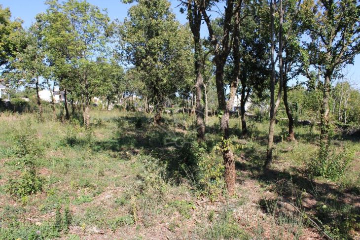 Građevinsko zemljište, Prodaja, Marčana, Rakalj Građevinsko zemljište, Prodaja, Marčana, Rakalj