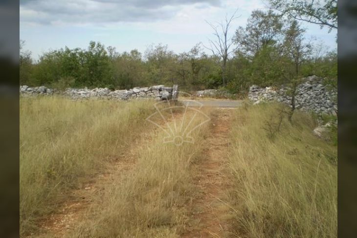 Poljoprivredno zemljište, Prodaja, Svetvinčenat, Raponji Poljoprivredno zemljište, Prodaja, Svetvinčenat, Raponji
