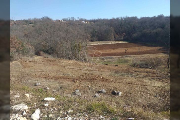 Građevinsko zemljište, Prodaja, Svetvinčenat, Bibići Građevinsko zemljište, Prodaja, Svetvinčenat, Bibići