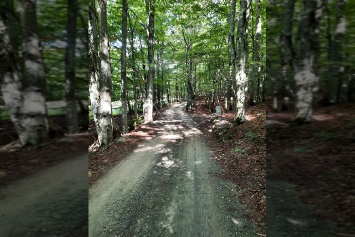 Građevinsko mješovito, Prodaja, Fužine, Lič