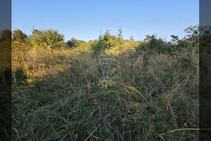 Građevinsko zemljište, Prodaja, Čavle, Čavle