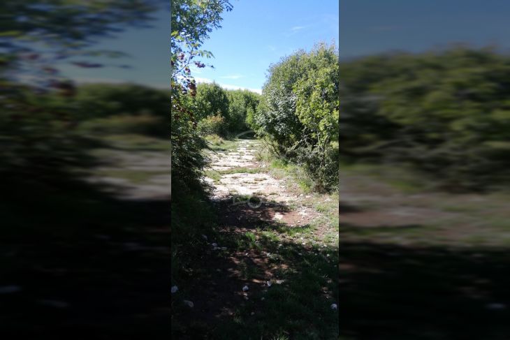 Zemljište - ostalo, Prodaja, Kanfanar, Jural Zemljište - ostalo, Prodaja, Kanfanar, Jural