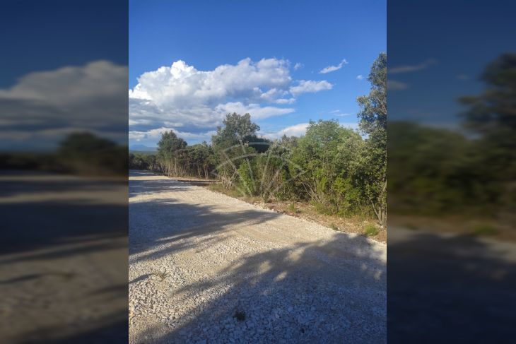 Šuma, Prodaja, Marčana, Kavran Šuma, Prodaja, Marčana, Kavran