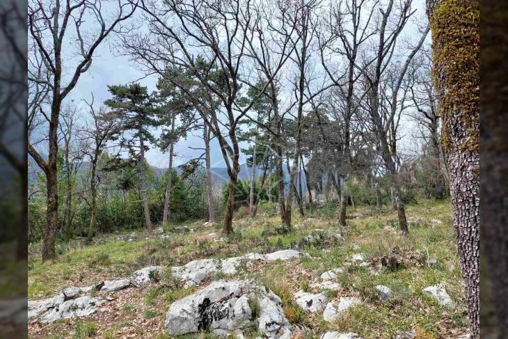 Poljoprivredno zemljište, Prodaja, Opatija - Okolica, Ičići Poljoprivredno zemljište, Prodaja, Opatija - Okolica, Ičići