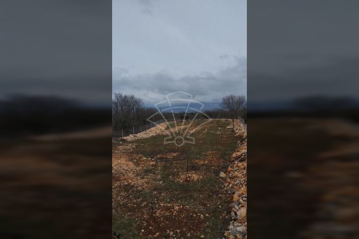 Poljoprivredno zemljište, Prodaja, Dobrinj, Čižići Poljoprivredno zemljište, Prodaja, Dobrinj, Čižići