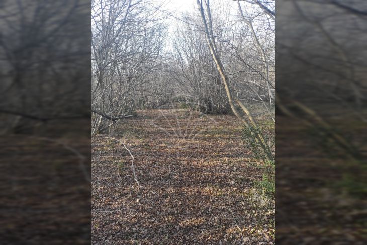 Poljoprivredno zemljište, Prodaja, Barban, Hrboki Poljoprivredno zemljište, Prodaja, Barban, Hrboki