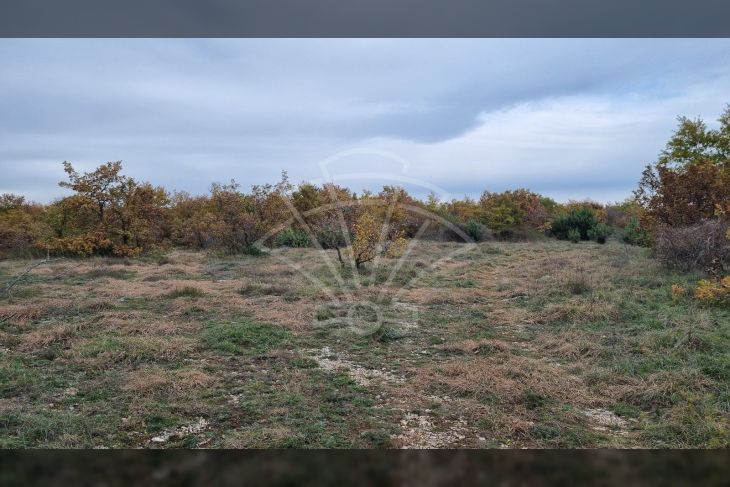 Poljoprivredno zemljište, Prodaja, Svetvinčenat, Štokovci Poljoprivredno zemljište, Prodaja, Svetvinčenat, Štokovci