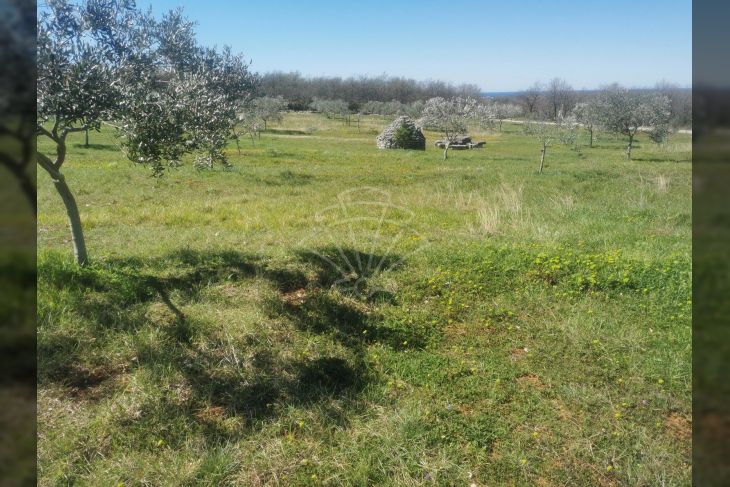 Poljoprivredno zemljište, Prodaja, Vodnjan, Vodnjan