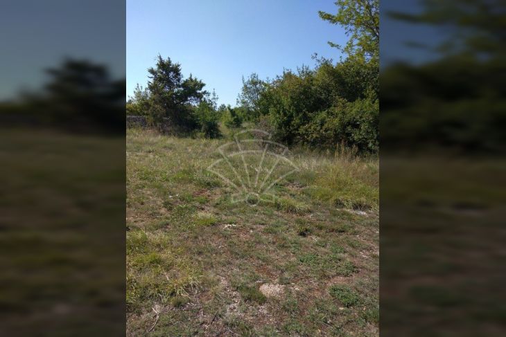 Poljoprivredno zemljište, Prodaja, Marčana, Kavran Poljoprivredno zemljište, Prodaja, Marčana, Kavran