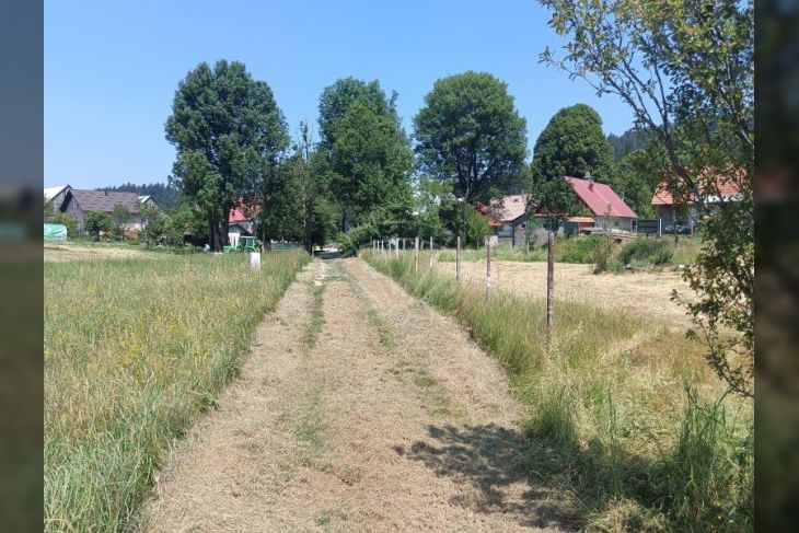 Obiteljska kuća, Prodaja, Mrkopalj, Sunger