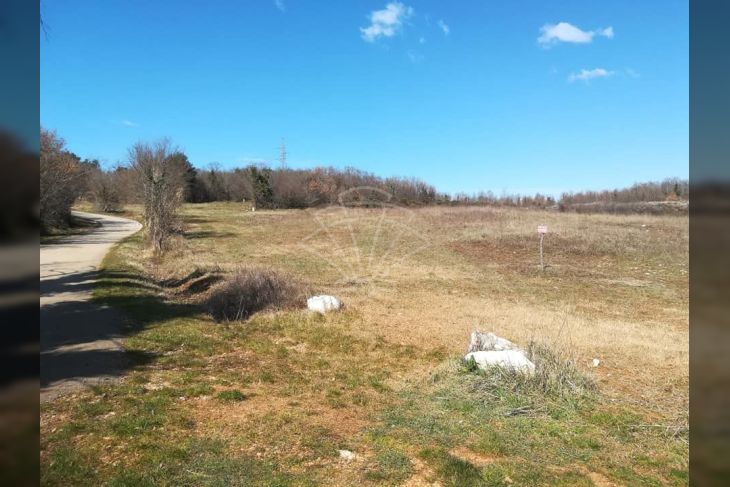 Poljoprivredno zemljište, Prodaja, Poreč, Mugeba