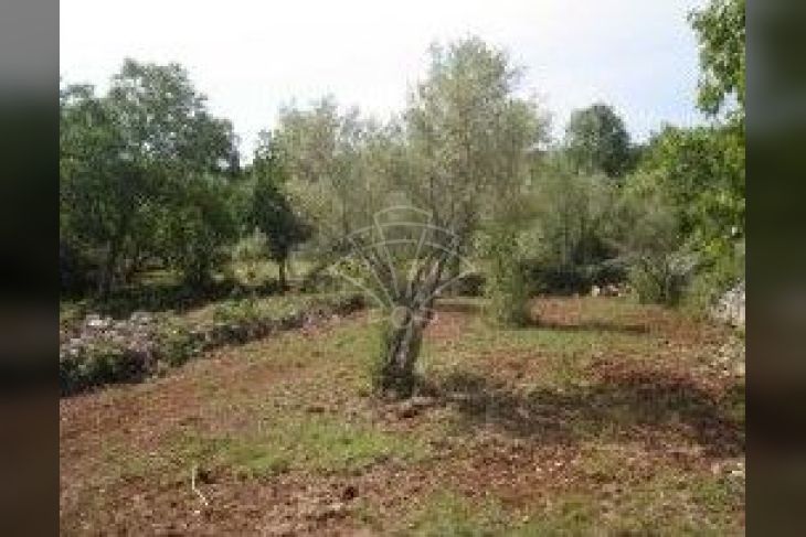 Građevinsko zemljište, Prodaja, Dobrinj, Hlapa Građevinsko zemljište, Prodaja, Dobrinj, Hlapa