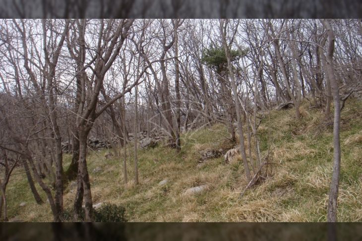 Poljoprivredno zemljište, Prodaja, Jelenje, Podhum