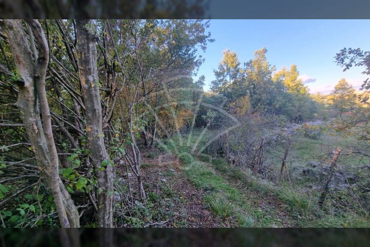 Poljoprivredno zemljište, Prodaja, Poreč, Baderna Poljoprivredno zemljište, Prodaja, Poreč, Baderna