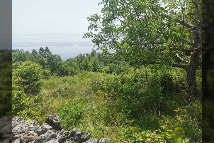 Građevinsko zemljište, Prodaja, Mošćenička draga, Sveti Anton