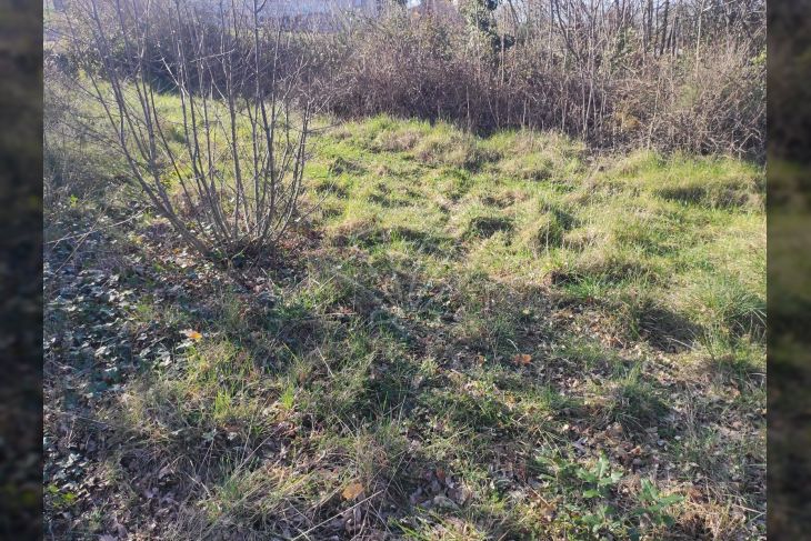 Građevinsko zemljište, Prodaja, Marčana, Rakalj Građevinsko zemljište, Prodaja, Marčana, Rakalj