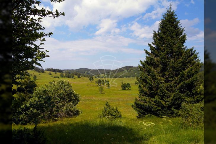 Poljoprivredno zemljište, Prodaja, Ravna gora, Stari Laz