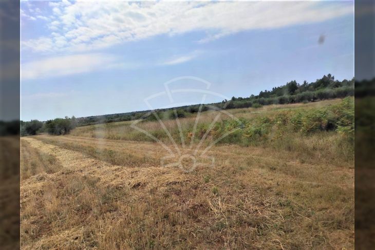 Livada, Prodaja, Poreč, Frata Livada, Prodaja, Poreč, Frata