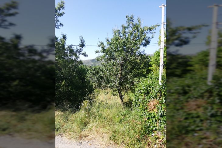 Građevinsko zemljište, Prodaja, Vinodolska općina, Bribir Građevinsko zemljište, Prodaja, Vinodolska općina, Bribir