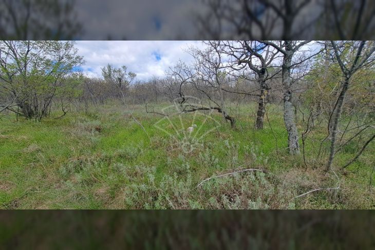 Građevinsko zemljište, Prodaja, Bakar, Krasica