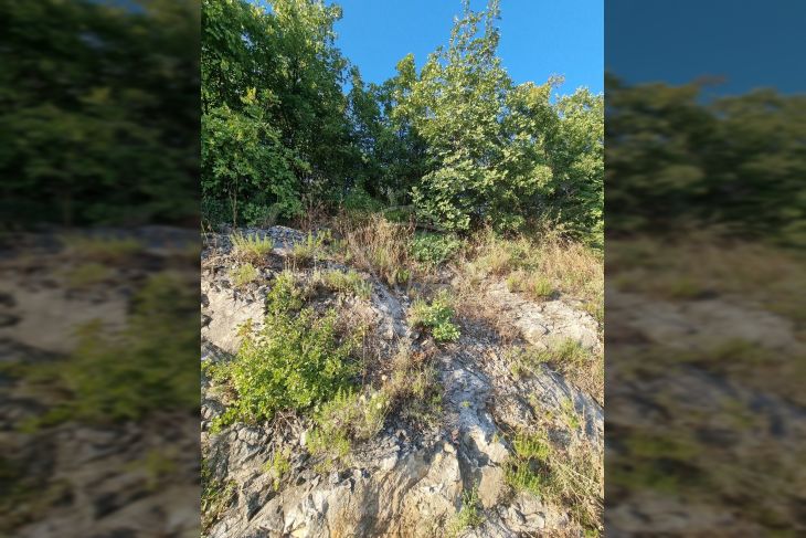 Građevinsko stambeno zemljište, Prodaja, Crikvenica, Crikvenica Građevinsko stambeno zemljište, Prodaja, Crikvenica, Crikvenica