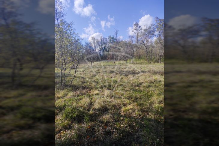 Građevinsko mješovito, Prodaja, Svetvinčenat, Boškari Građevinsko mješovito, Prodaja, Svetvinčenat, Boškari