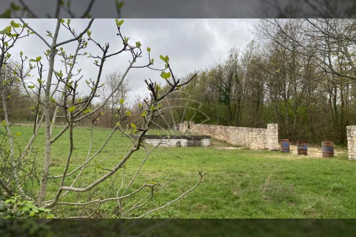 Poljoprivredno zemljište, Prodaja, Kanfanar, Jural