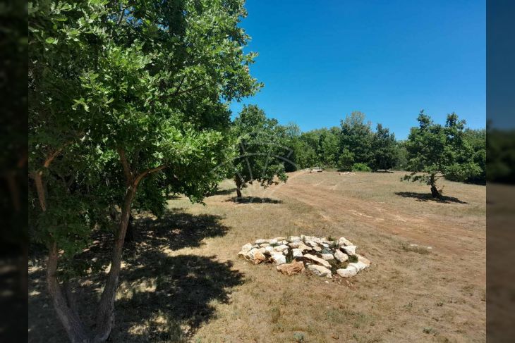 Poljoprivredno zemljište, Prodaja, Svetvinčenat, Foli Poljoprivredno zemljište, Prodaja, Svetvinčenat, Foli