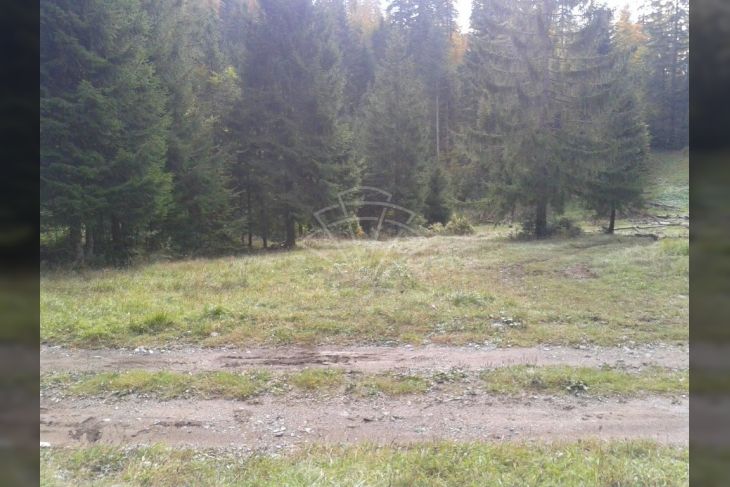 Poljoprivredno zemljište, Prodaja, Delnice, Lučice Poljoprivredno zemljište, Prodaja, Delnice, Lučice