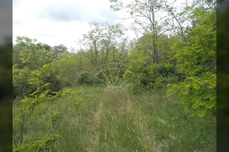 Poljoprivredno zemljište, Prodaja, Pazin - Okolica, Trviž