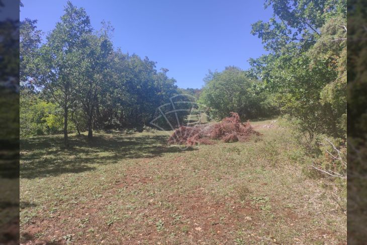 Poljoprivredno zemljište, Prodaja, Vodnjan, Vodnjan