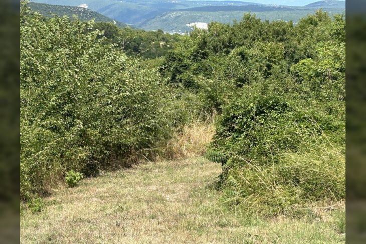 Poljoprivredno zemljište, Prodaja, Marčana, Rakalj