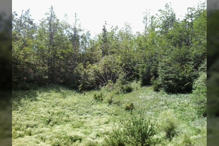 Građevinsko zemljište, Prodaja, Bakar, Zlobin