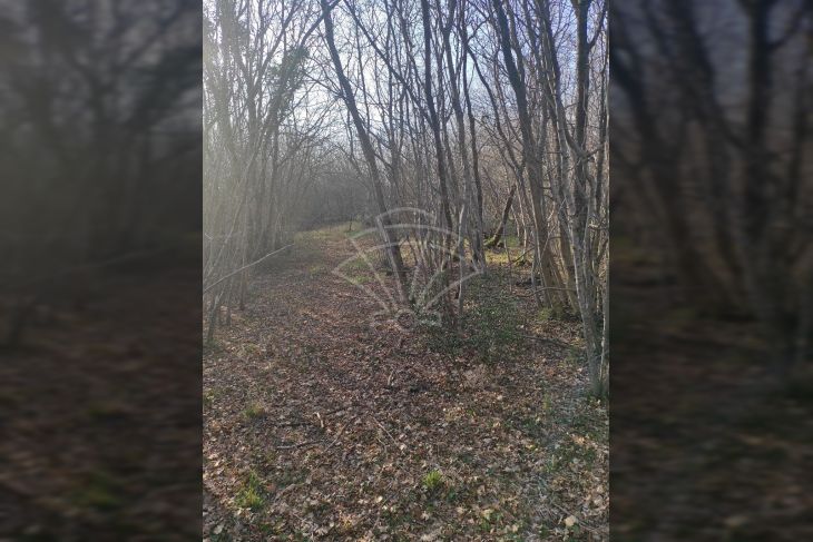 Poljoprivredno zemljište, Prodaja, Barban, Hrboki Poljoprivredno zemljište, Prodaja, Barban, Hrboki