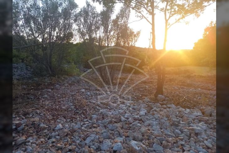 Poljoprivredno zemljište, Prodaja, Dobrinj, Šilo Poljoprivredno zemljište, Prodaja, Dobrinj, Šilo