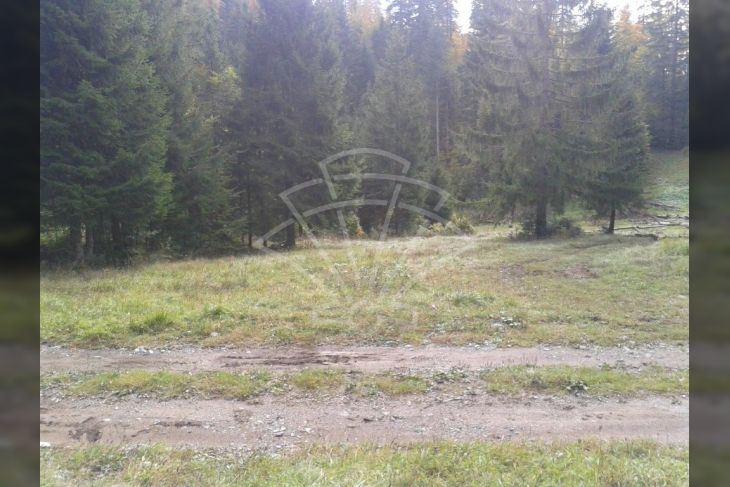 Poljoprivredno zemljište, Prodaja, Delnice, Lučice Poljoprivredno zemljište, Prodaja, Delnice, Lučice