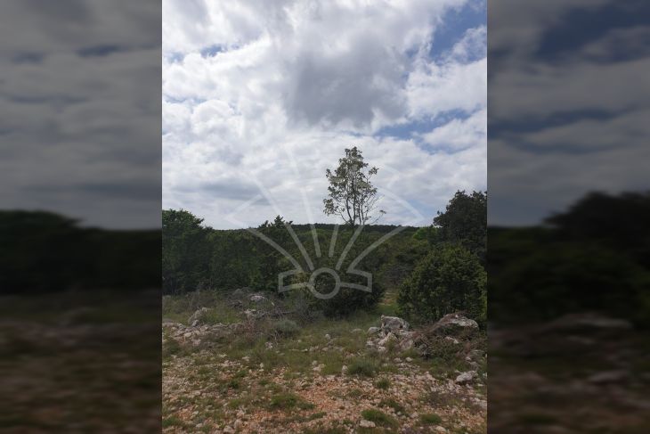 Zemljište - ostalo, Prodaja, Vodnjan, Barbariga Zemljište - ostalo, Prodaja, Vodnjan, Barbariga