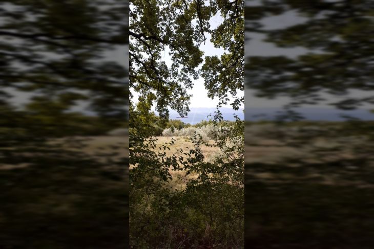 Građevinsko zemljište, Prodaja, Kostrena, Plešići Građevinsko zemljište, Prodaja, Kostrena, Plešići
